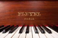 Photo credit: Don Kennedy